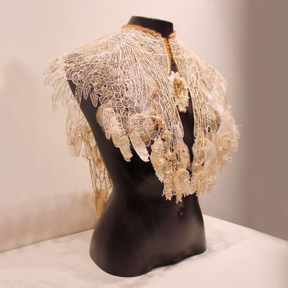 Judith Brown wins Waterhouse Natural Science Art Prize with lace cape creation – The Advertiser